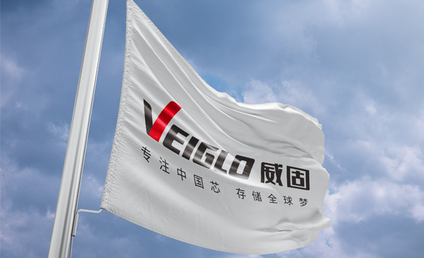 半導體公司品牌設計-存儲芯片vi設計-上海威固信息